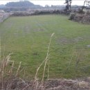 동광리-1 이미지