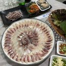 속초횟집 추천! 청호 활어회센터 16호 승희수산 솔직 방문 후기