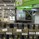 (주)이마트 일산점 이미지