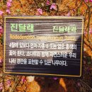 진달래유치원 이미지