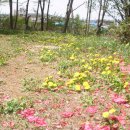 풍경어린이집 이미지