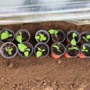 담비네농장 이미지