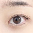 릴리뷰티 | 월성동 속눈썹펌 잘하는 곳 상인동 속눈썹펌 디릴리에뷰티 재방문 후기