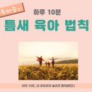단비디자인 이미지