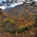 담양호국민관광지 이미지