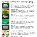 무농약 고령수 햇연근 50% 맛보기 이벤트 이미지