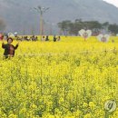 낙동강변 축구장 2 이미지