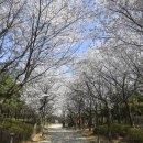 석남완충도시숲 이미지