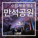 금곡리(정자옆)야외운동기구 | [수원 만석공원] 수원 벚꽃 명소 만석공원 축제 정보, 드론쇼, 불꽃놀이, 포토 스팟