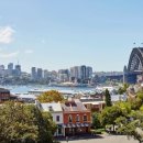 시드니(1) 이미지