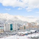 미정목장 | 겨울여행지 강원도 스키장 완벽비교, 당일치기~ 1박2일코스, 12월 국내명소추천