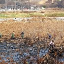 면천면 골정지 당진신문