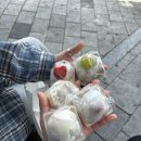 누가 노잼도시래(in 대전)