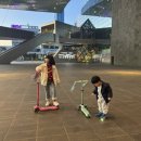 수영강 | 해운대 센텀 야경 산책 | 영화의전당 씽씽 + 수영강 휴먼브릿지 전망대 후기