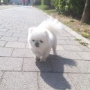 한양한방동물병원 이미지