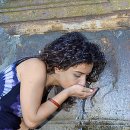 종로의원 이미지