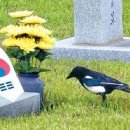 에프에프모텔 - 경주시 외남로 109-5 | 에프에프모텔