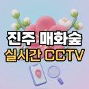 진주성매점 | 진주 매화숲 CCTV 실시간 2026년 3월 개방 주차 방문 전 확인