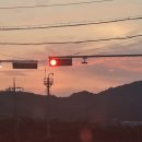 마고닭 | 포항 출장, 치킨 맛집 "마고닭" 방문 후기