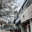 함흥면옥 사직밀면 화명점 | [부산맛집] 화명동 수정역 밀면맛집 함흥면옥 사직밀면 화명점 >> 물밀면 비빔밀면 🍜