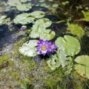 양수리스테이 이미지