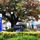 처갓집양념치킨(지곡점) 이미지