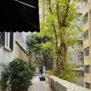 댕댕묭실 이미지