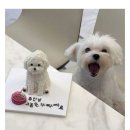 구이어