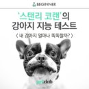 코랜 네이버블로그