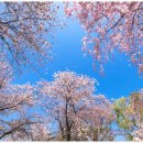 연세봄의원 이미지