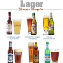 1℃맥주 - 광양시 진등1길 11 | 1℃맥주