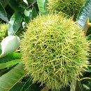 현대자동차 연지점 이미지