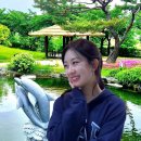 한일톱텐쇼 여름축제 예고편 이미지