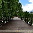 중앙탑길 이미지