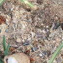 카사블링카 이미지