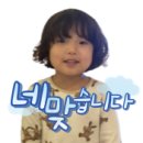 하모리-41 이미지