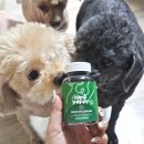 준메디케어 | 산책 힘든 노견영양제 강아지 관절 근육 위해 메디퍼피 영양제 급여해 본 후기