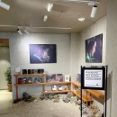 일상비일상 이미지