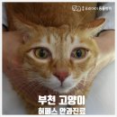 중동우리아이동물병원 이미지