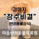 장수동물의료원 이미지