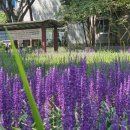 거북선공원2길 이미지