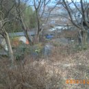 석복초등학교 이미지