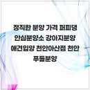 퍼피댕 안심분양소 강아지분양 애견입양 천안아산점 이미지