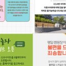 바다랑놀자 이미지