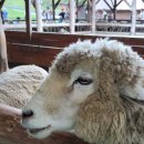 다시 시작하는 연일을 위하여~ 이미지