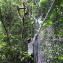 푸마농장 이미지