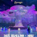 계림 | 경주 실내 가볼만한곳 플래시백 계림 후기 데이트 코스 추천