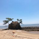 미자민박 이미지