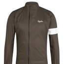 레인코어 이미지