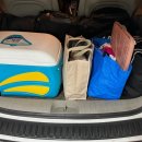 개멍물멍 이미지